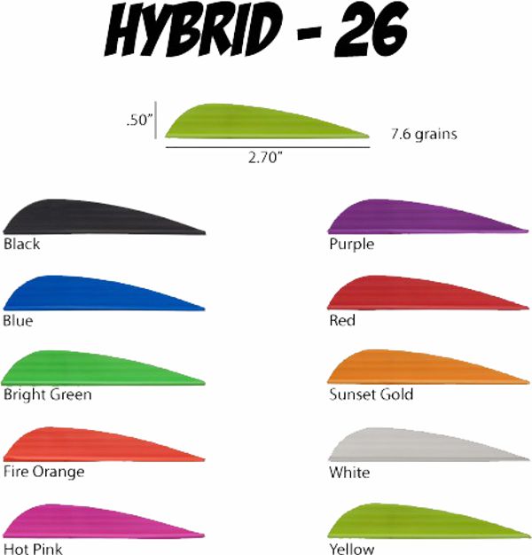 AAE Hybrid 26